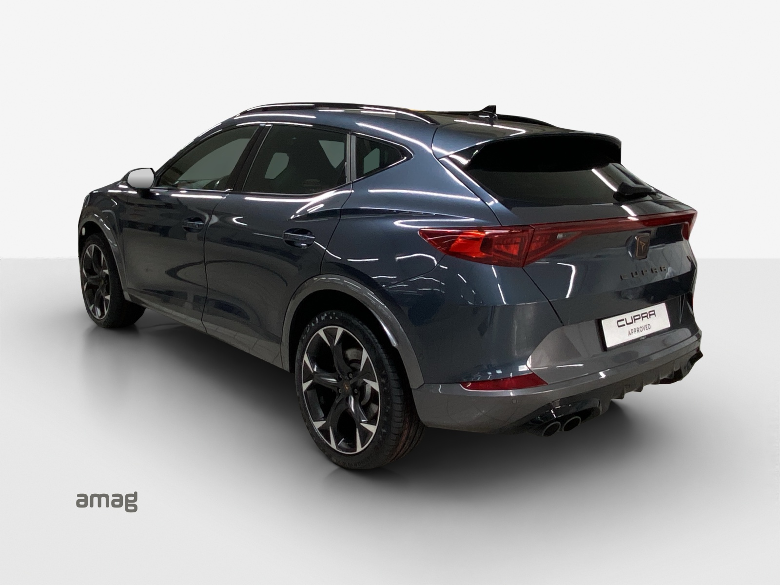 CUPRA Formentor 2.0TSI Tribe Edition 4Drive DSG-image-2