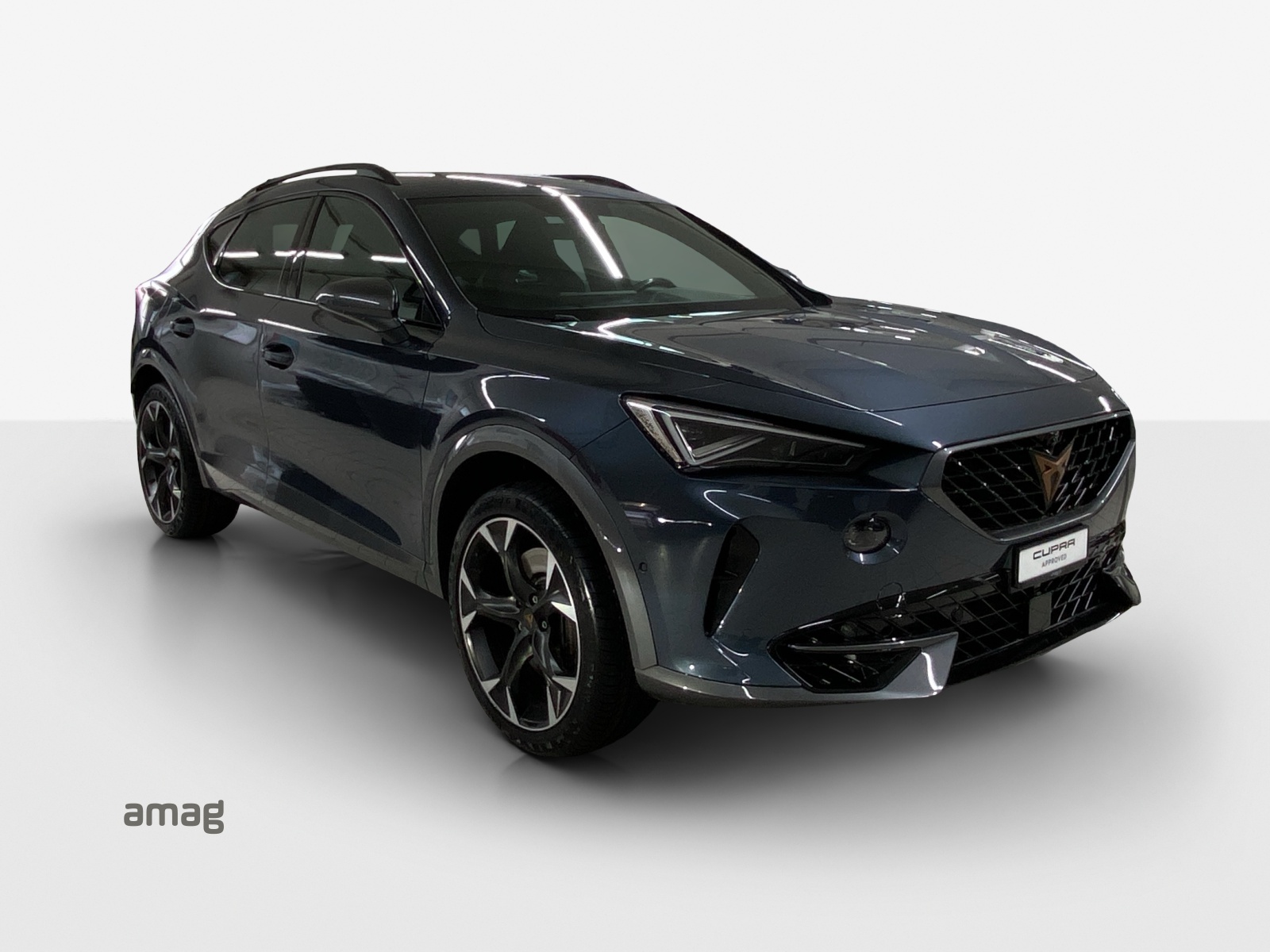CUPRA Formentor 2.0TSI Tribe Edition 4Drive DSG-image-5