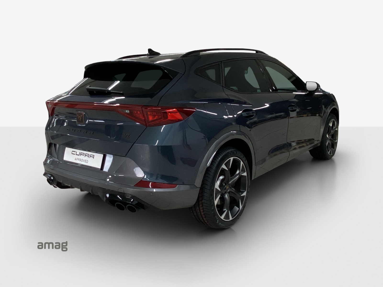 CUPRA Formentor 2.0TSI Tribe Edition 4Drive DSG-image-4