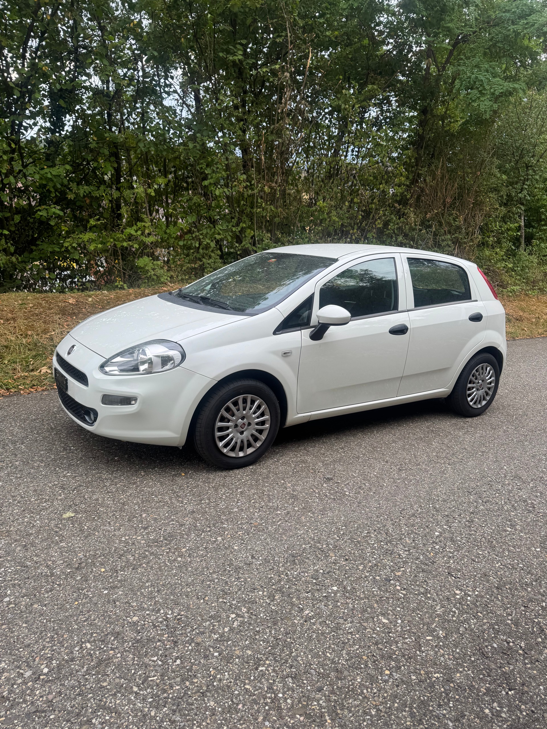 FIAT Punto 1.2 Young-image-2
