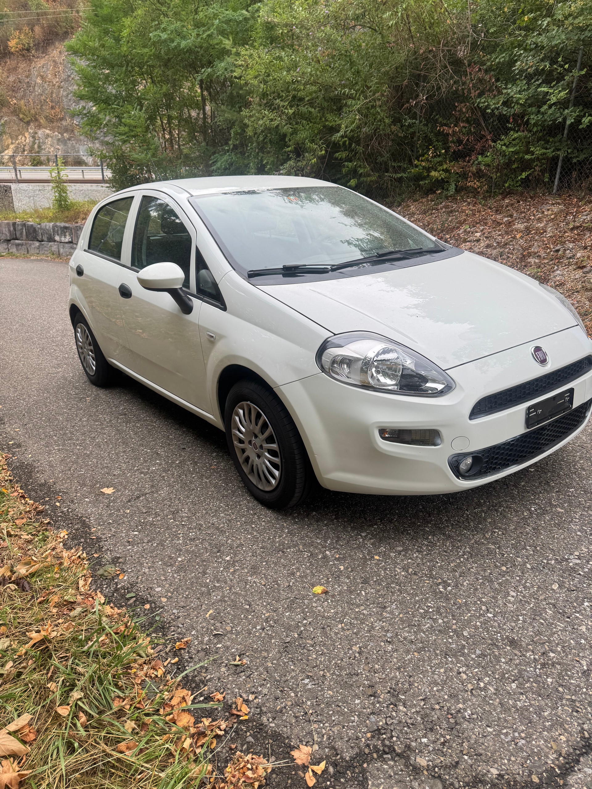 FIAT Punto 1.2 Young-image-1