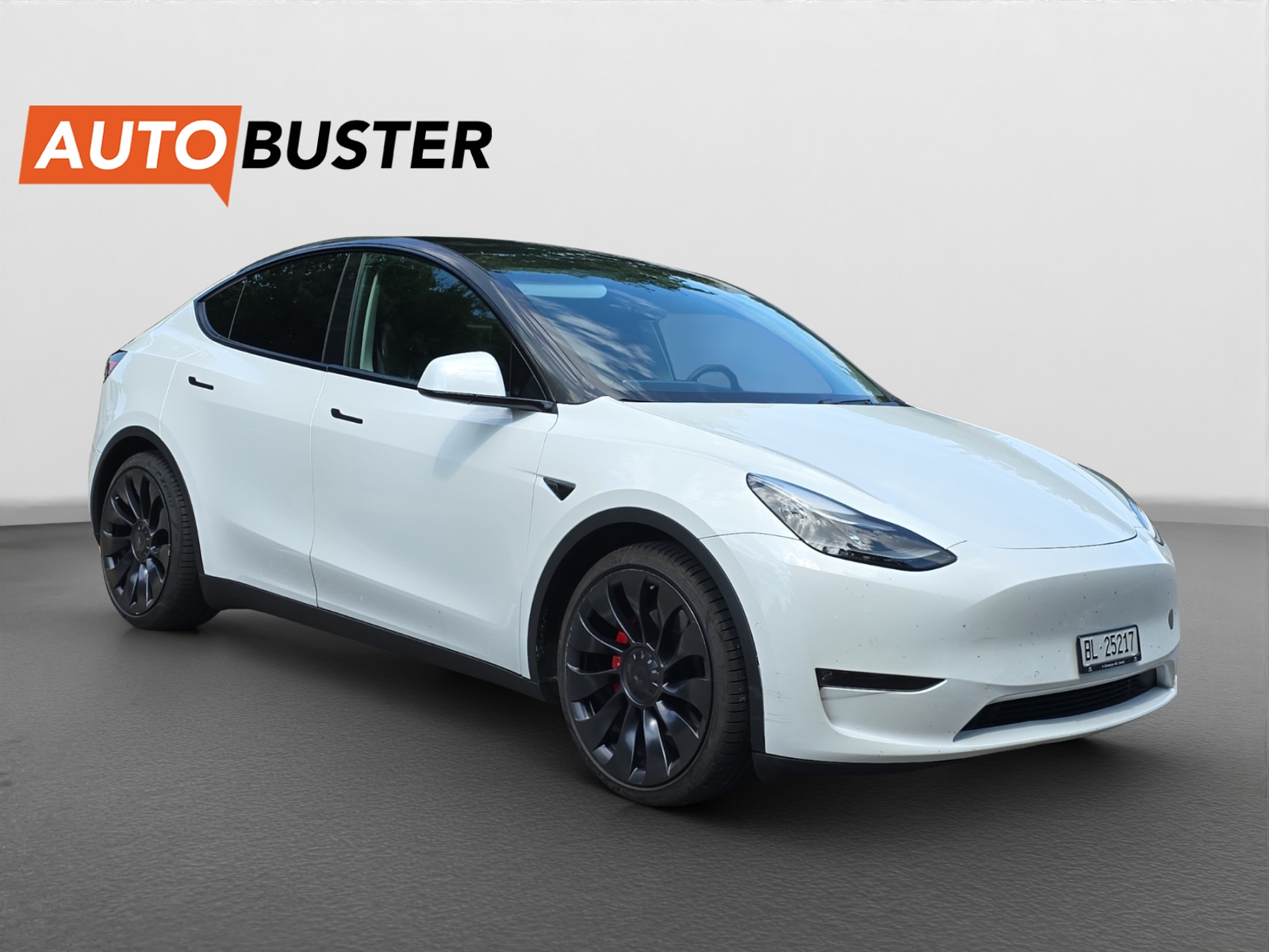 TESLA Model Y Performance 534 PS-image-6