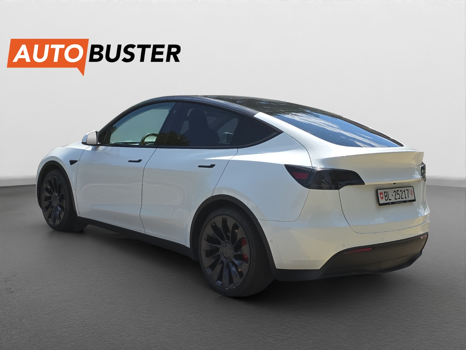 TESLA Model Y Performance 534 PS-image-2