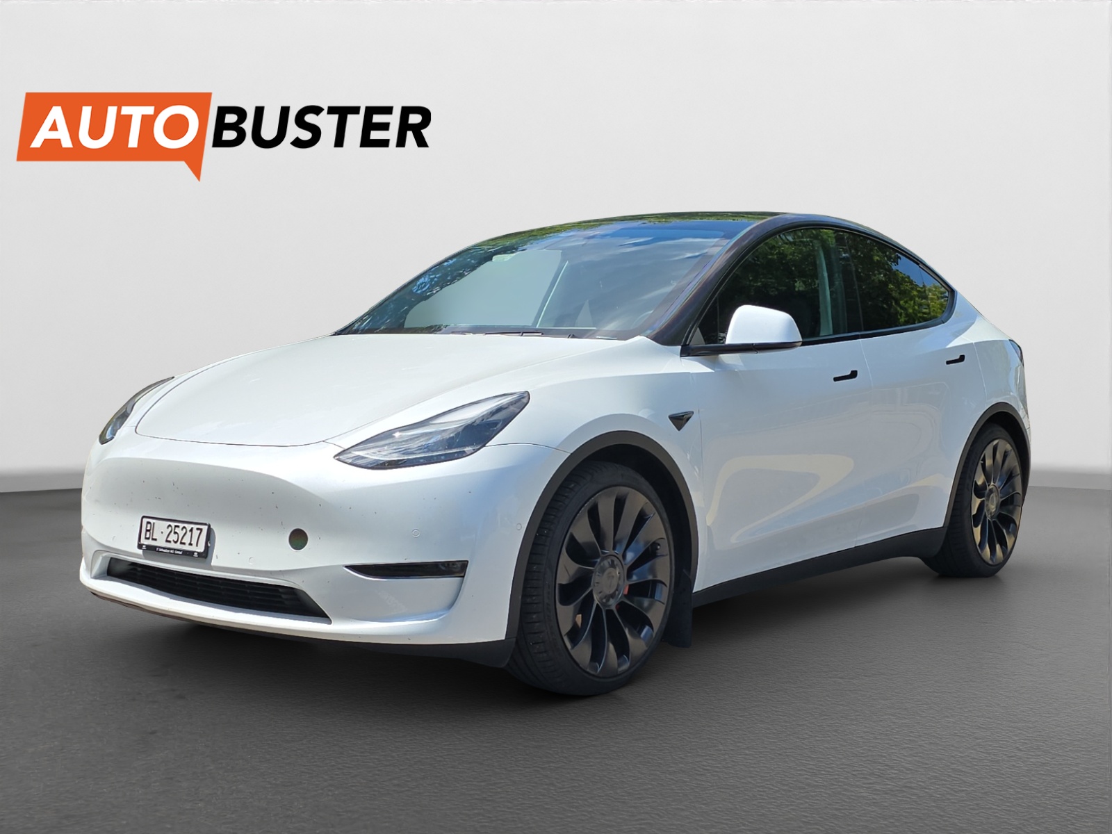 TESLA Model Y Performance 534 PS-image-0