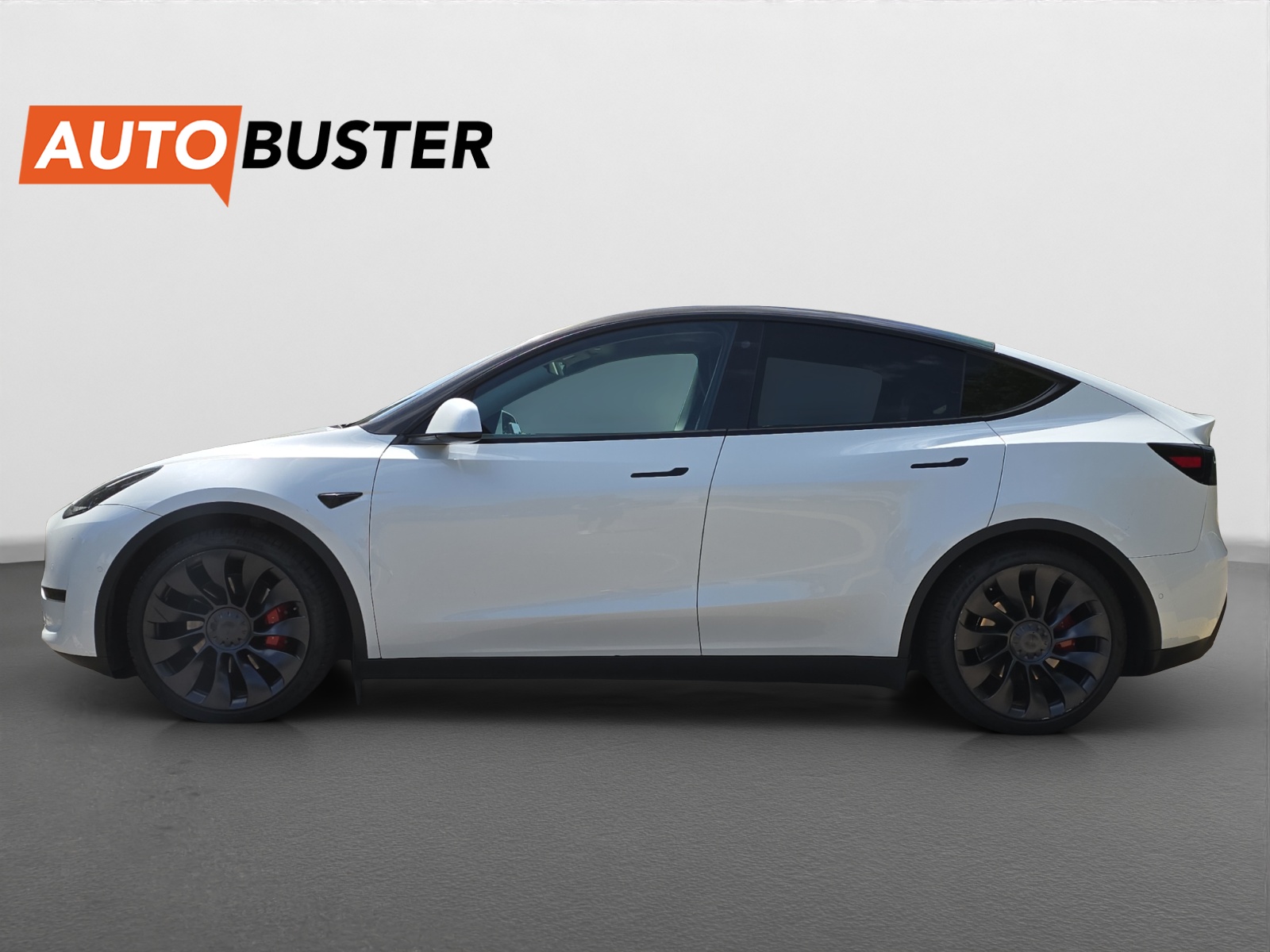 TESLA Model Y Performance 534 PS-image-1