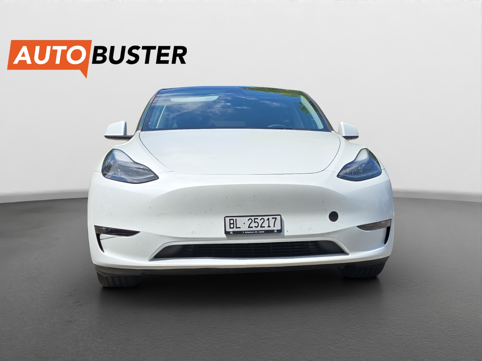 TESLA Model Y Performance 534 PS-image-7