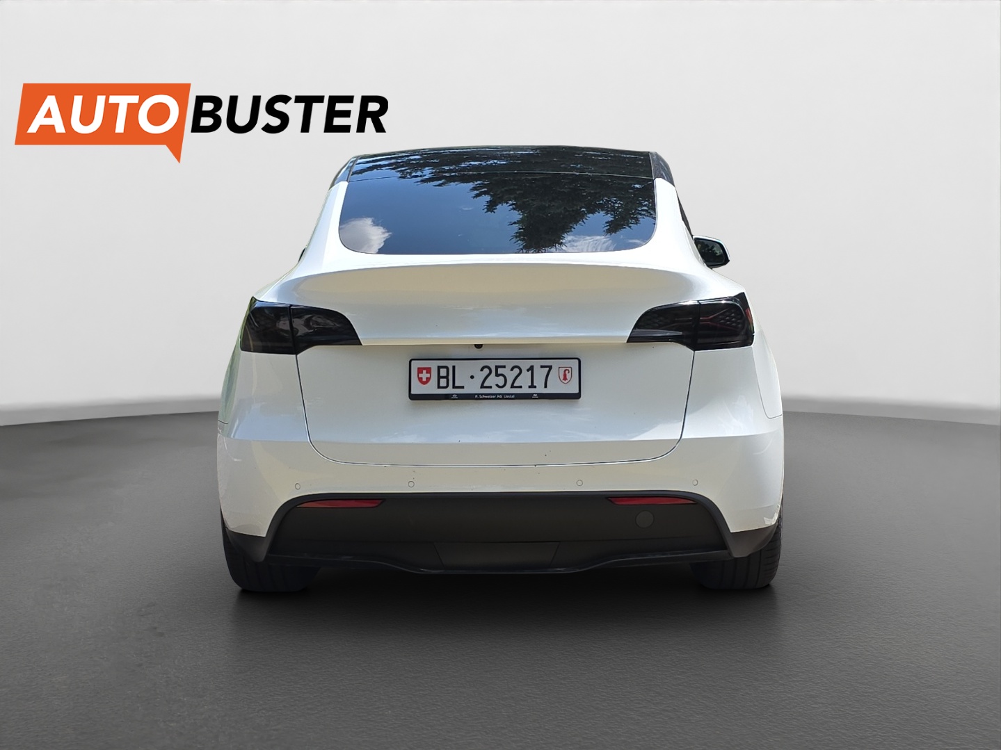TESLA Model Y Performance 534 PS-image-3