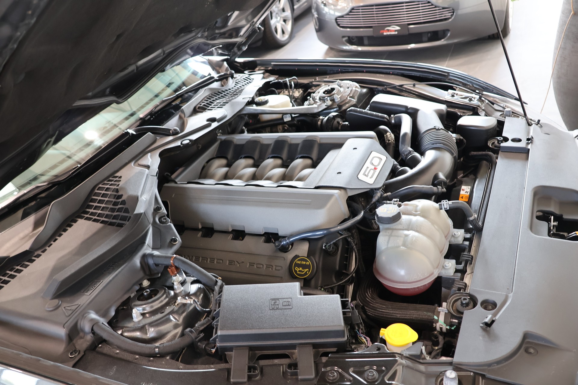 FORD Mustang Fastback 5.0 V8 GT Automat-image-15