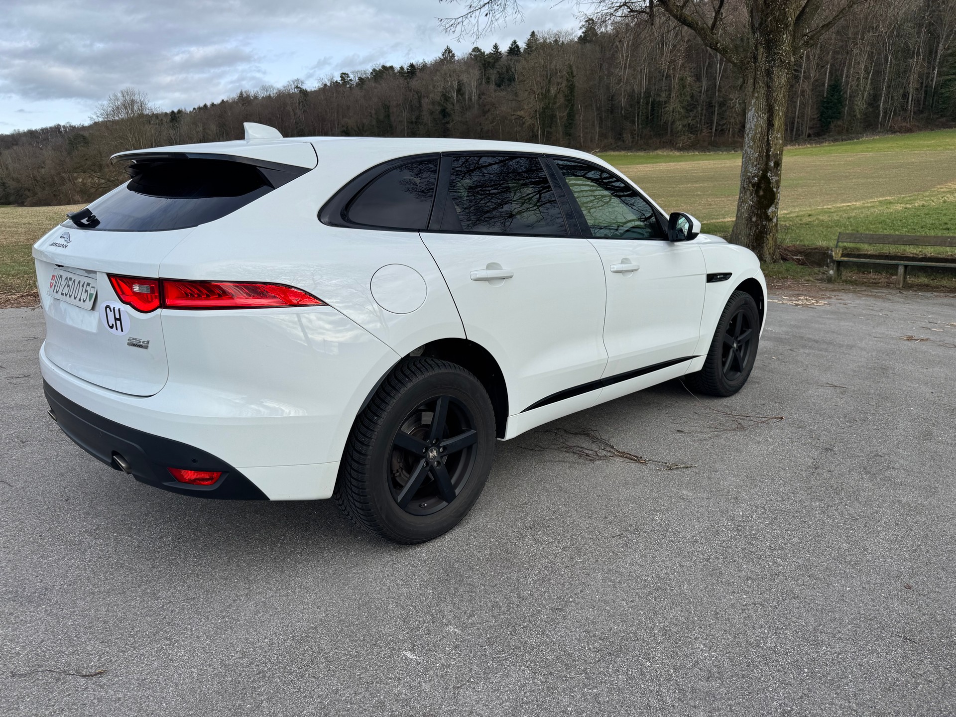 JAGUAR F-pace-image-2