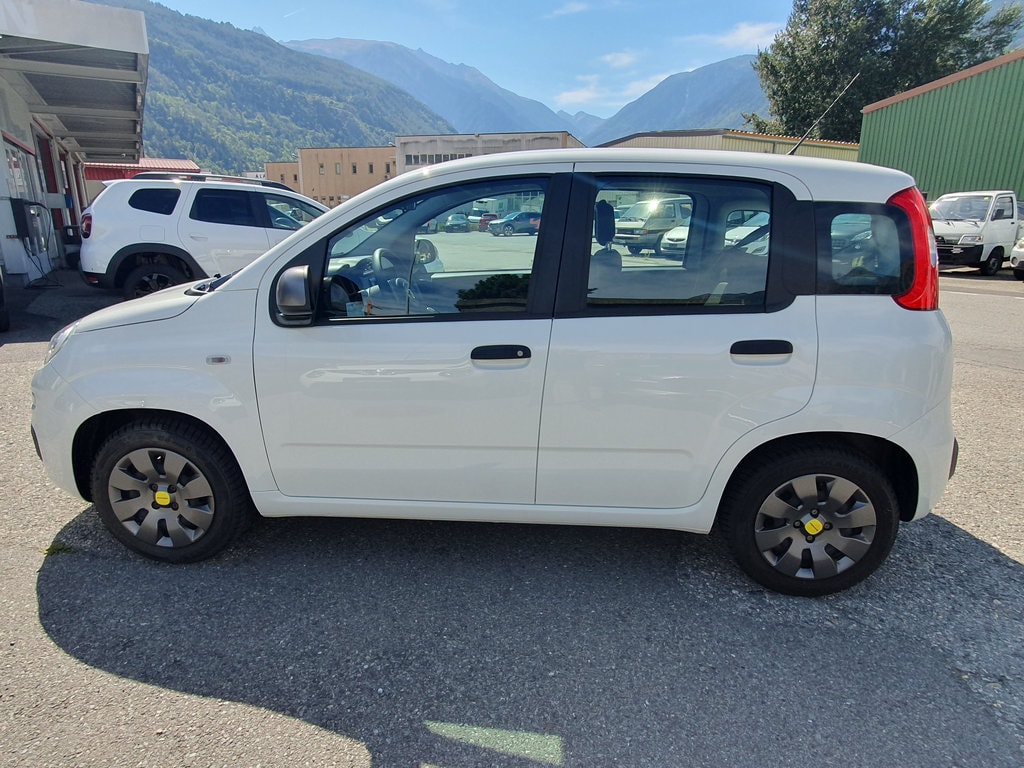 FIAT Panda 1.2 Young-image-3
