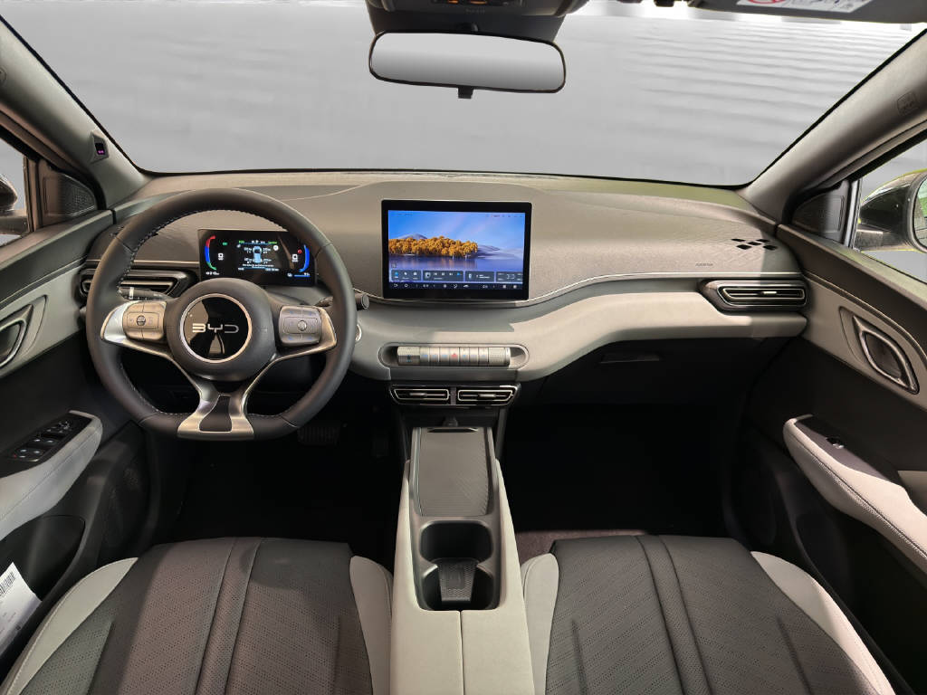 BYD Dolphin Surf Active-image-4
