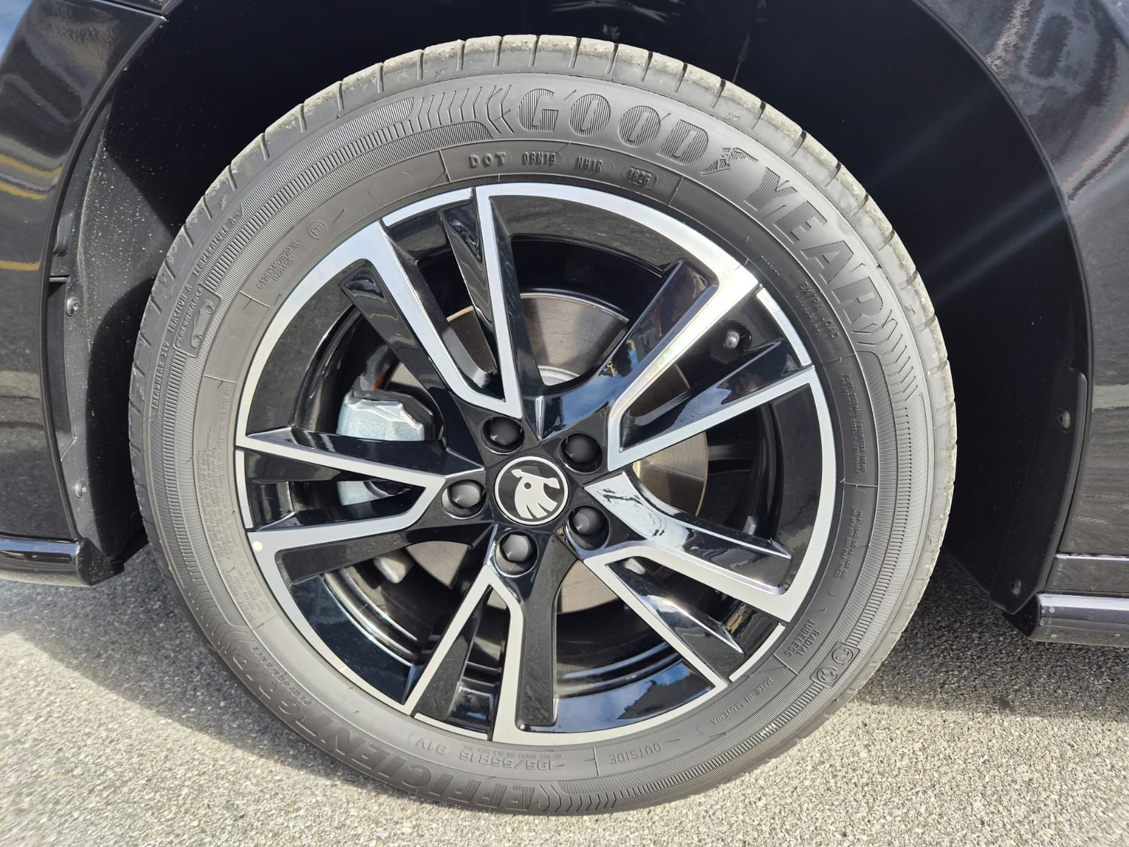 SKODA Fabia 1.5 TSI Monte Carlo DSG-image-27