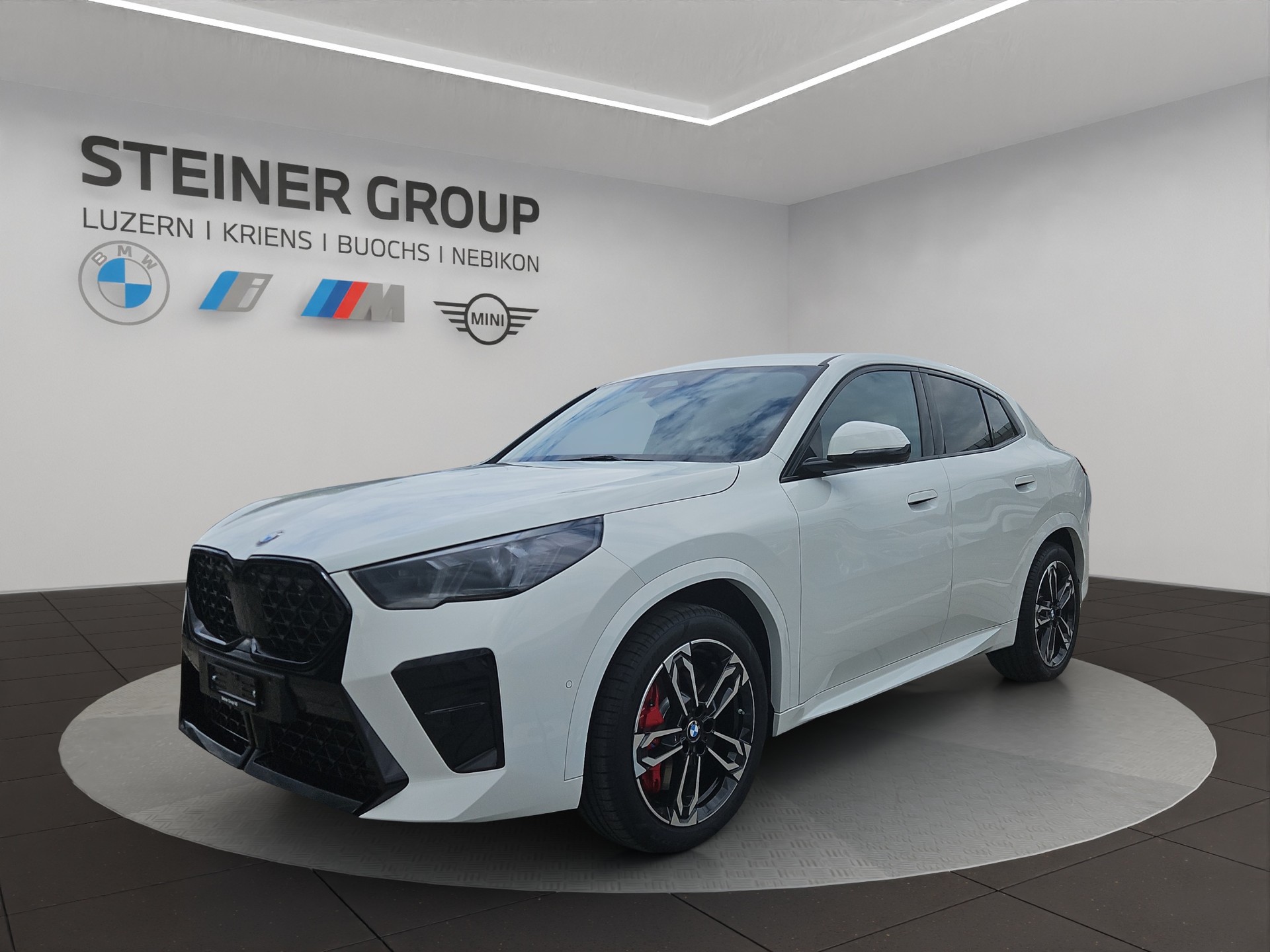 BMW X2 xDrive 20d 48V M Sport Pro-image-0
