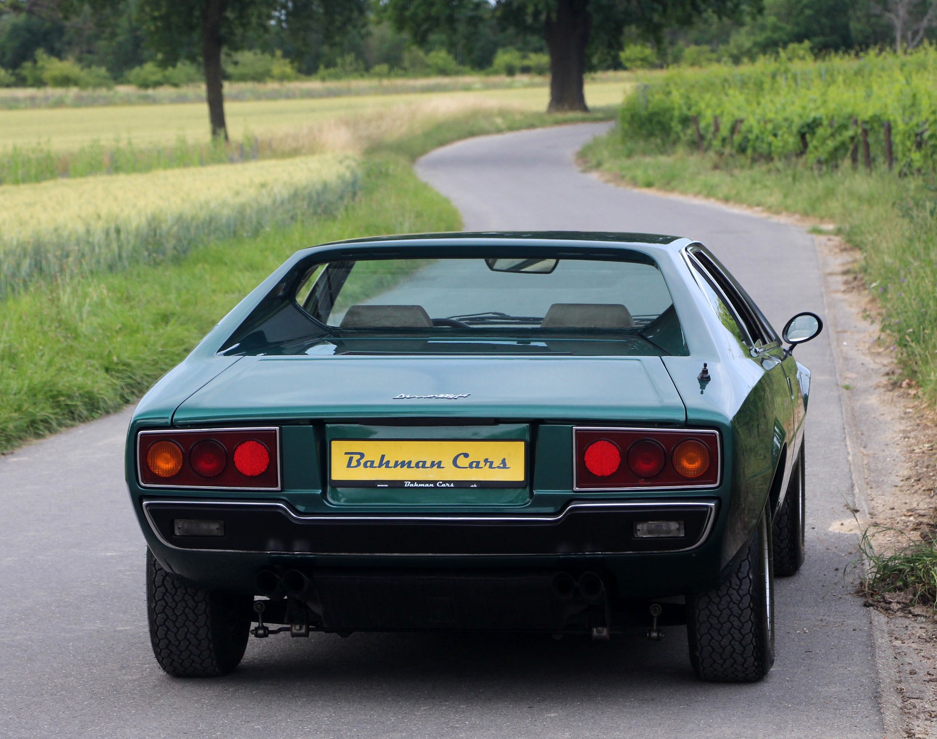 FERRARI Dino 308 GT4-image-24