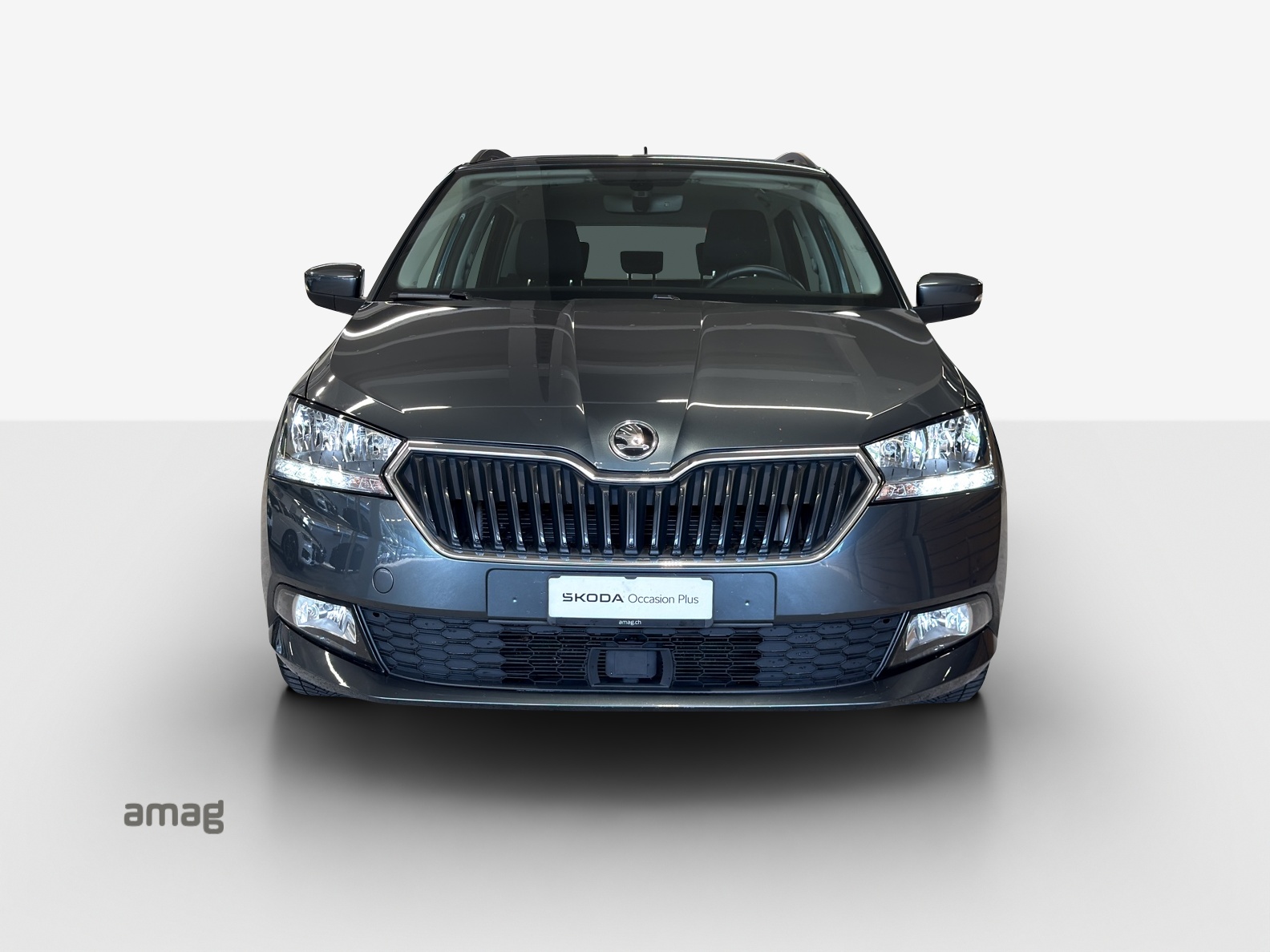SKODA Fabia Combi 1.0 TSI Clever DSG-image-6