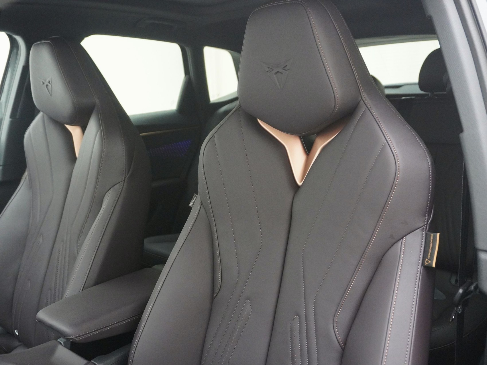 CUPRA Terramar 2.0 TSI VZ 4Drive DSG-image-13