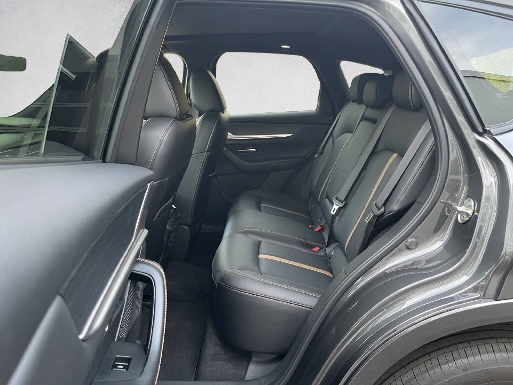MAZDA CX-60 3.3 D Homura Plus-image-13