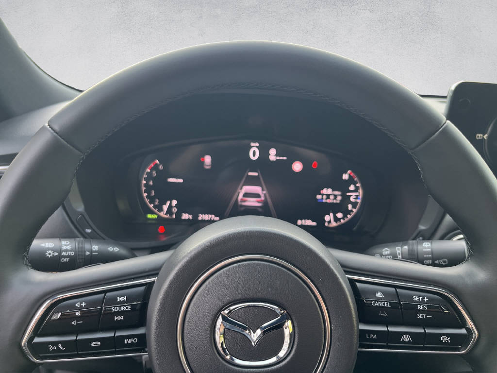 MAZDA CX-60 3.3 D Homura Plus-image-10