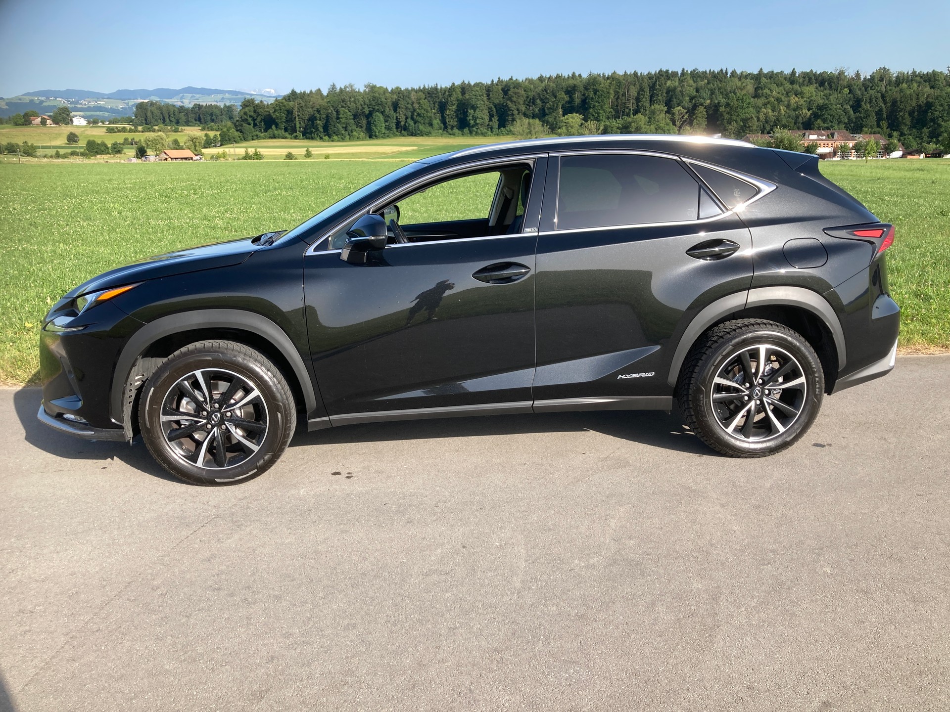 LEXUS NX 300h Celebrating 30 E-Four Automatic-image-4