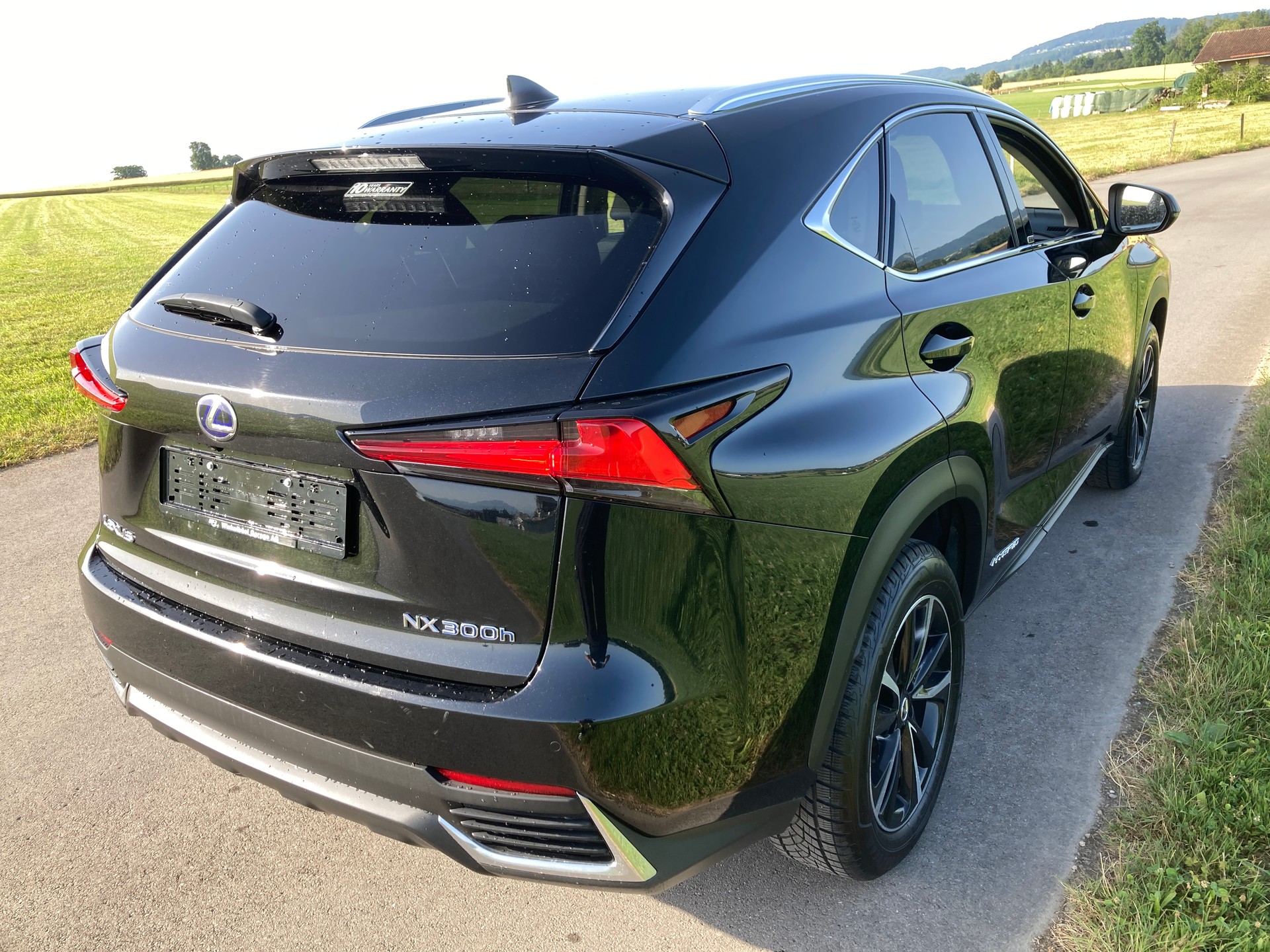 LEXUS NX 300h Celebrating 30 E-Four Automatic-image-2