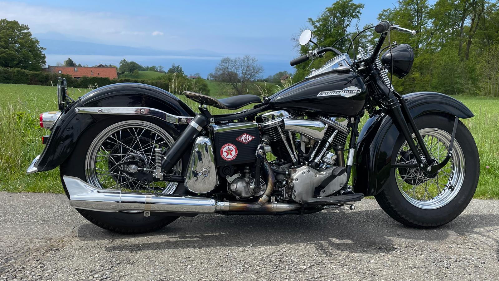 HARLEY-DAVIDSON Electra Glide PANHEAD-image-2