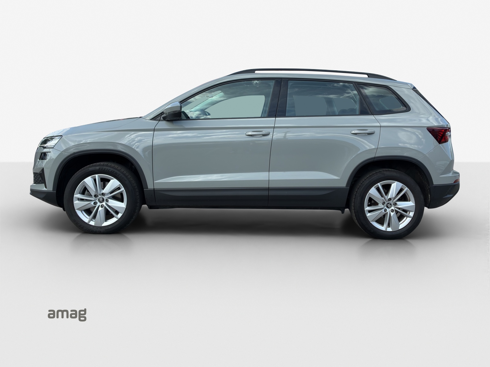 SKODA Karoq 1.5 TSI Selection-image-1