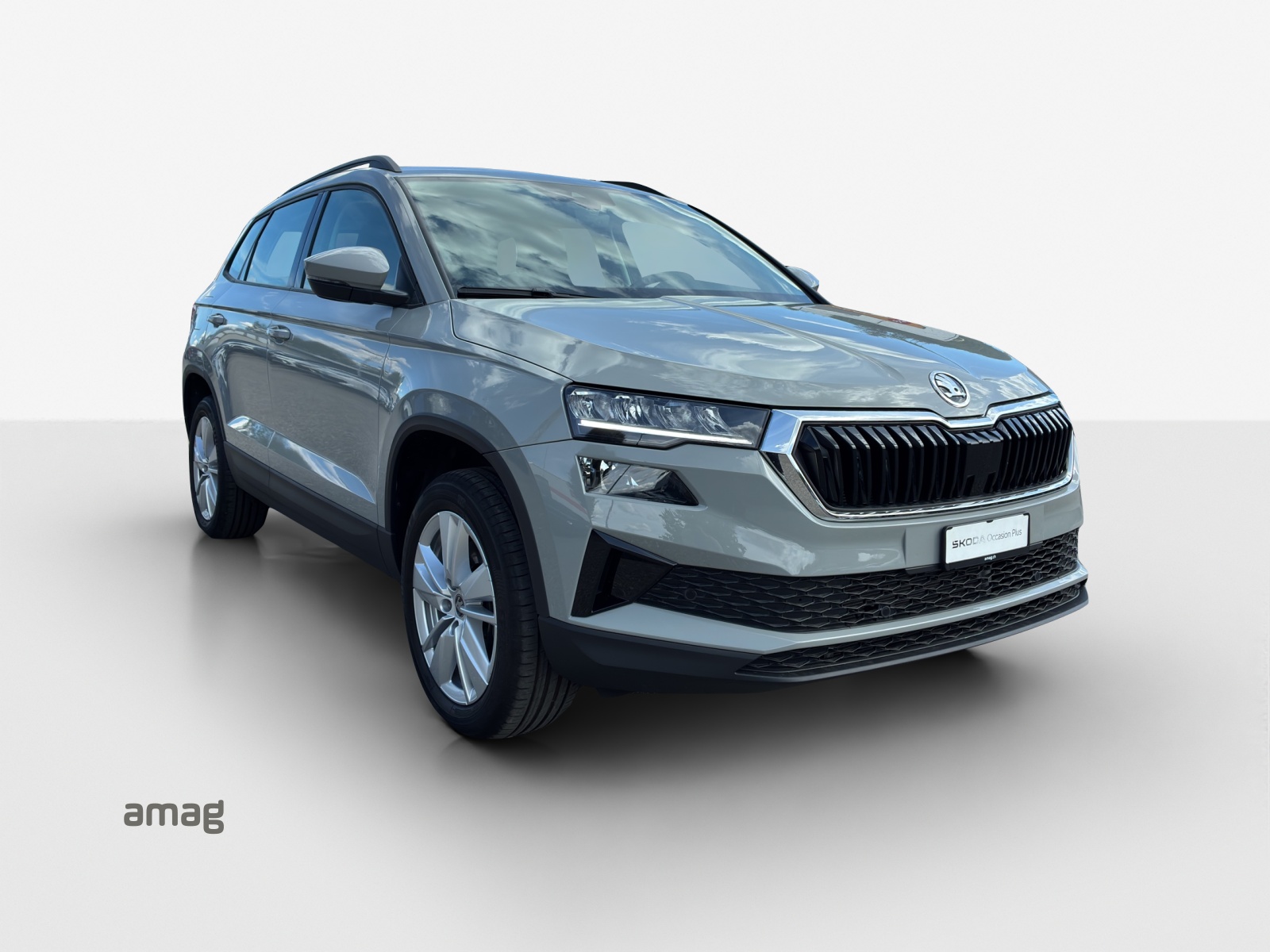 SKODA Karoq 1.5 TSI Selection-image-5