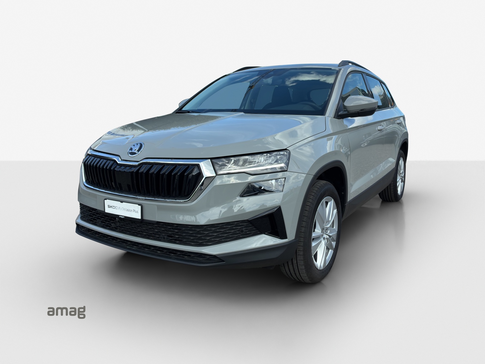 SKODA Karoq 1.5 TSI Selection-image-0
