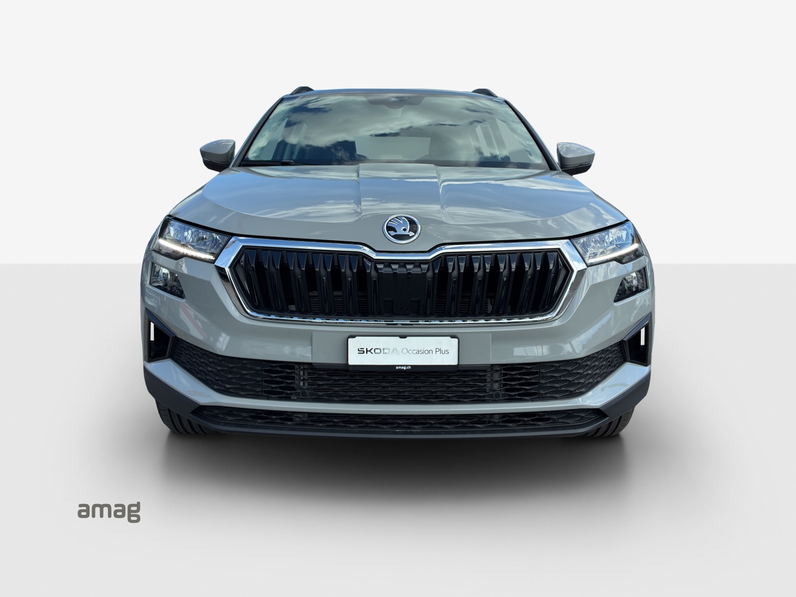 SKODA Karoq 1.5 TSI Selection-image-6