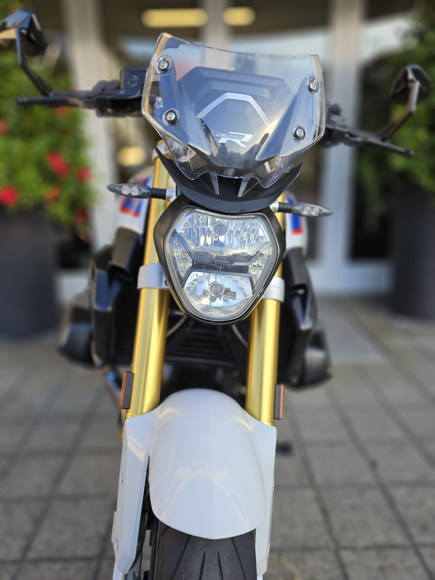 BMW R 1250 R-image-7