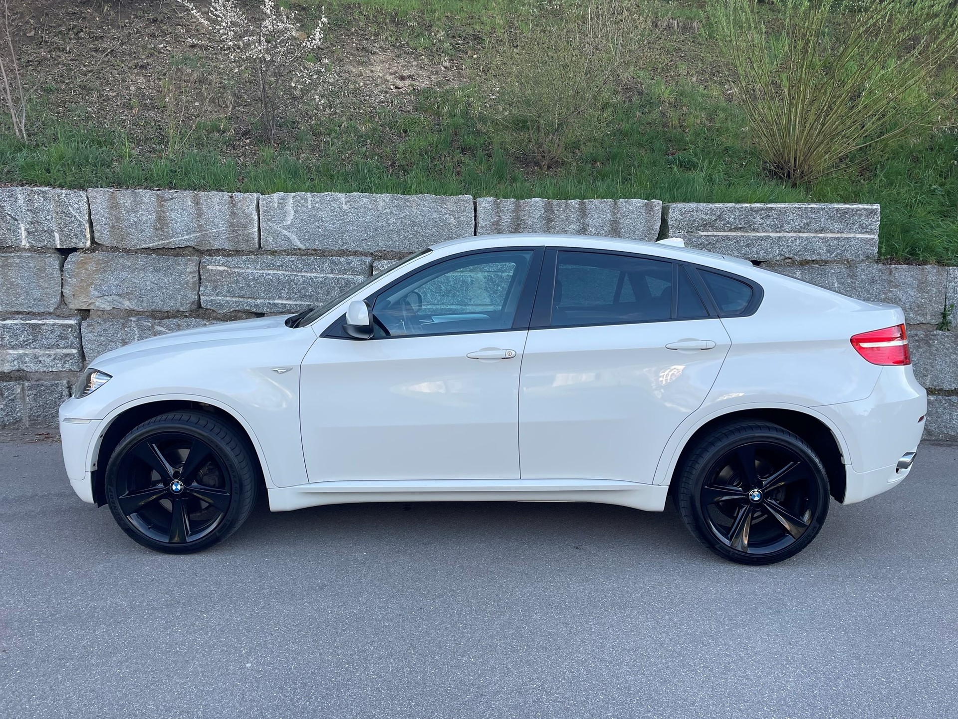 BMW X6 xDrive 40d Steptronic-image-11
