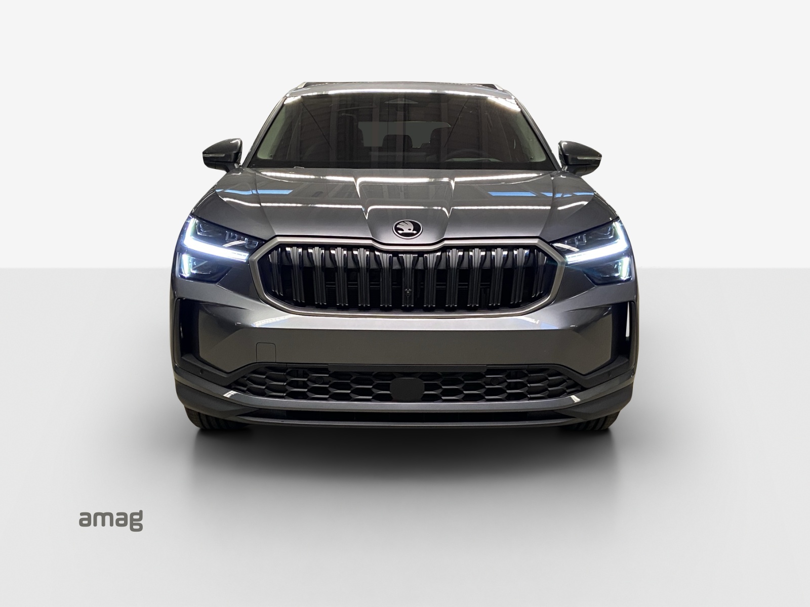 SKODA Kodiaq 2.0 TSI Selection 4x4-image-6