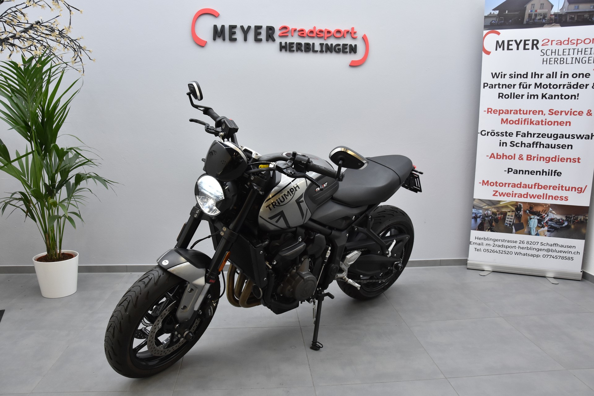 TRIUMPH Trident 660-showroom-element-3