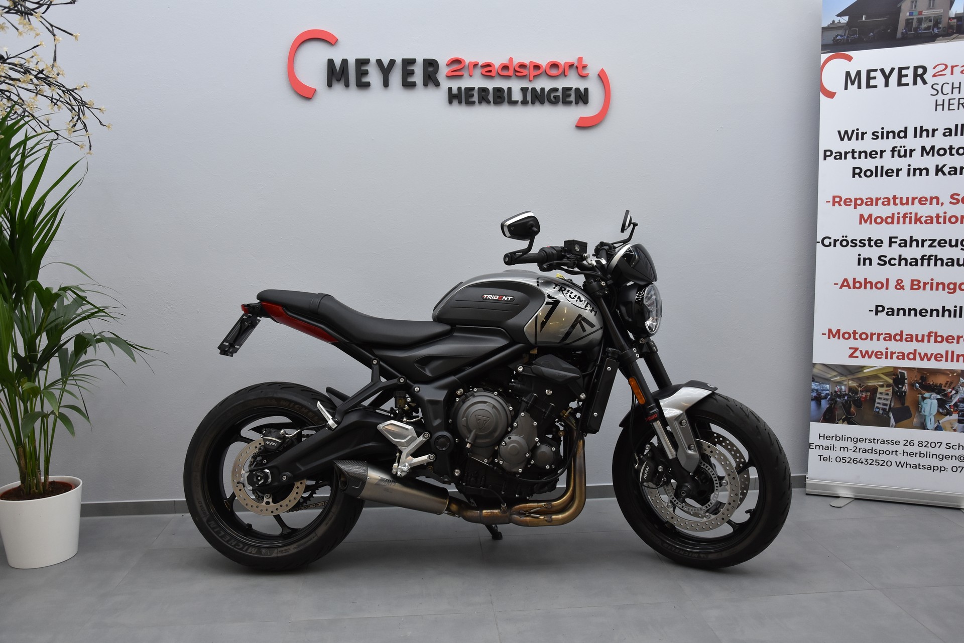 TRIUMPH Trident 660-showroom-element-1