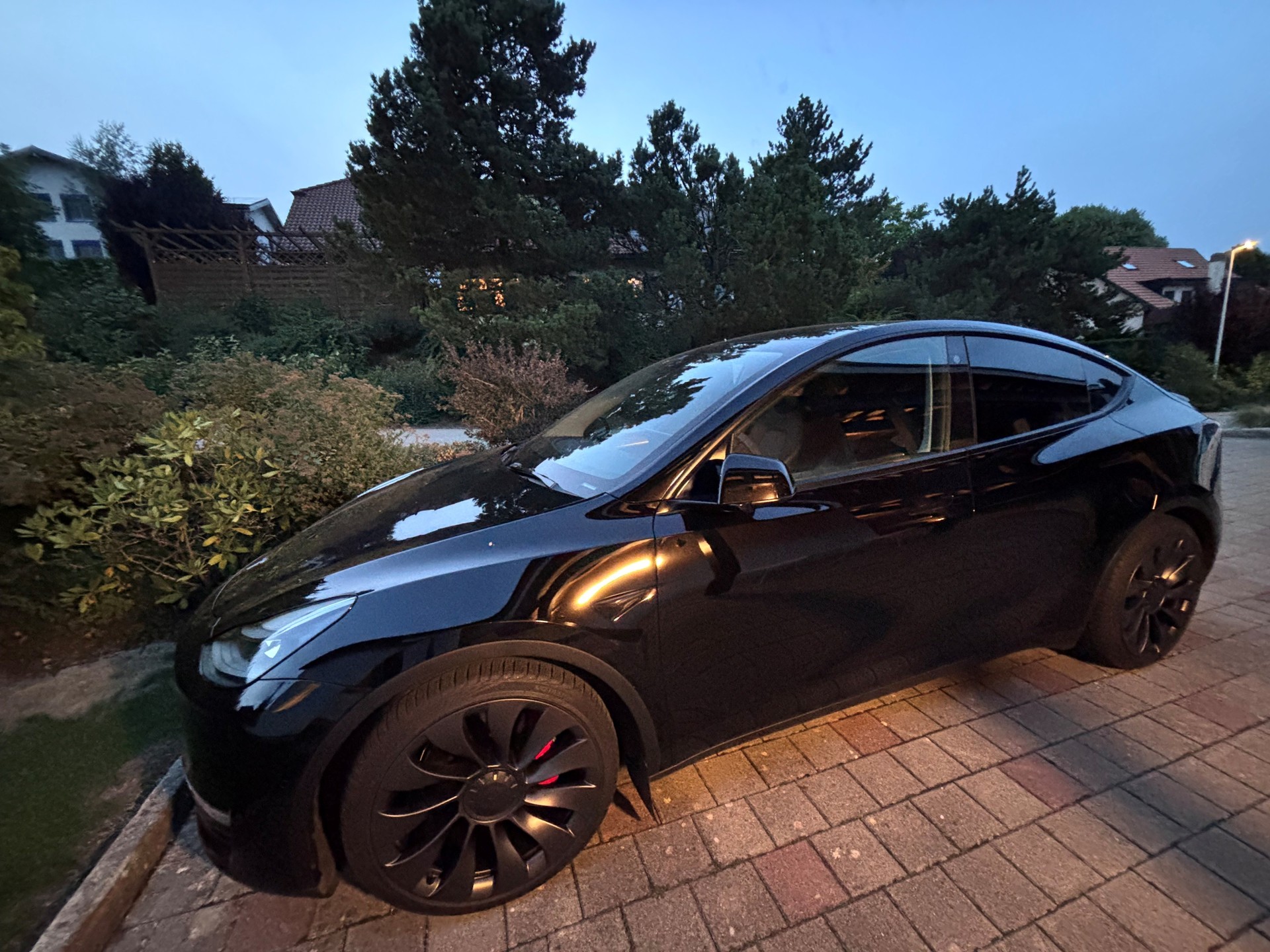 TESLA Performance D-image-0