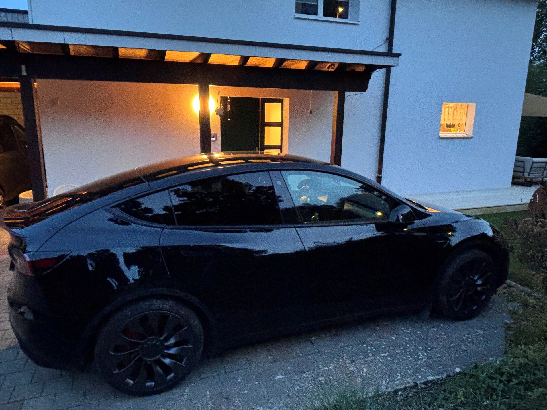 TESLA Performance D-image-1