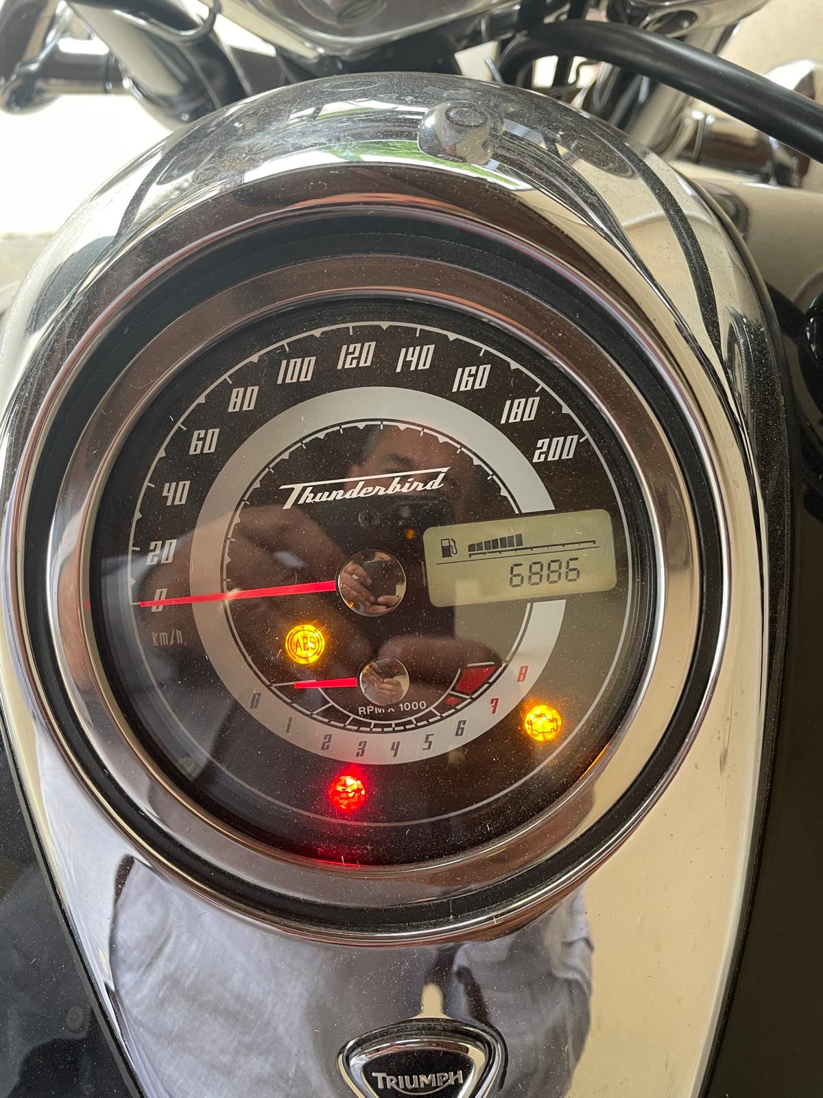 TRIUMPH Thunderbird 1600 ABS-image-1