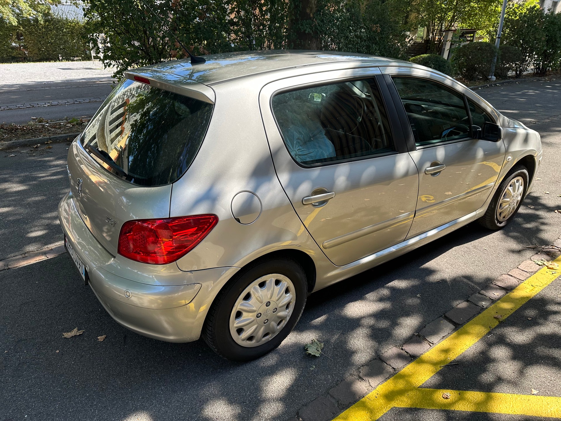 PEUGEOT 307 2.0 16V Platinum Edition-image-3