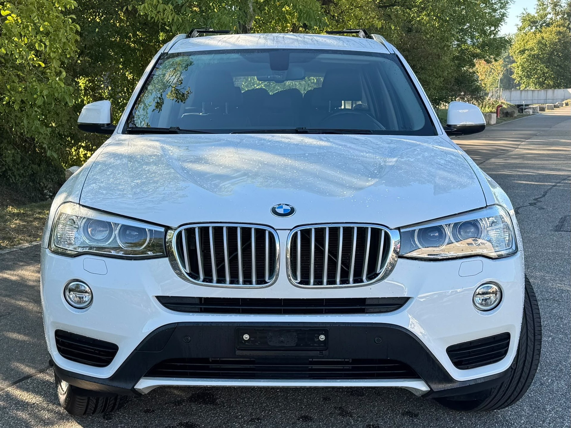 BMW X3 xDrive 30d Steptronic-image-8