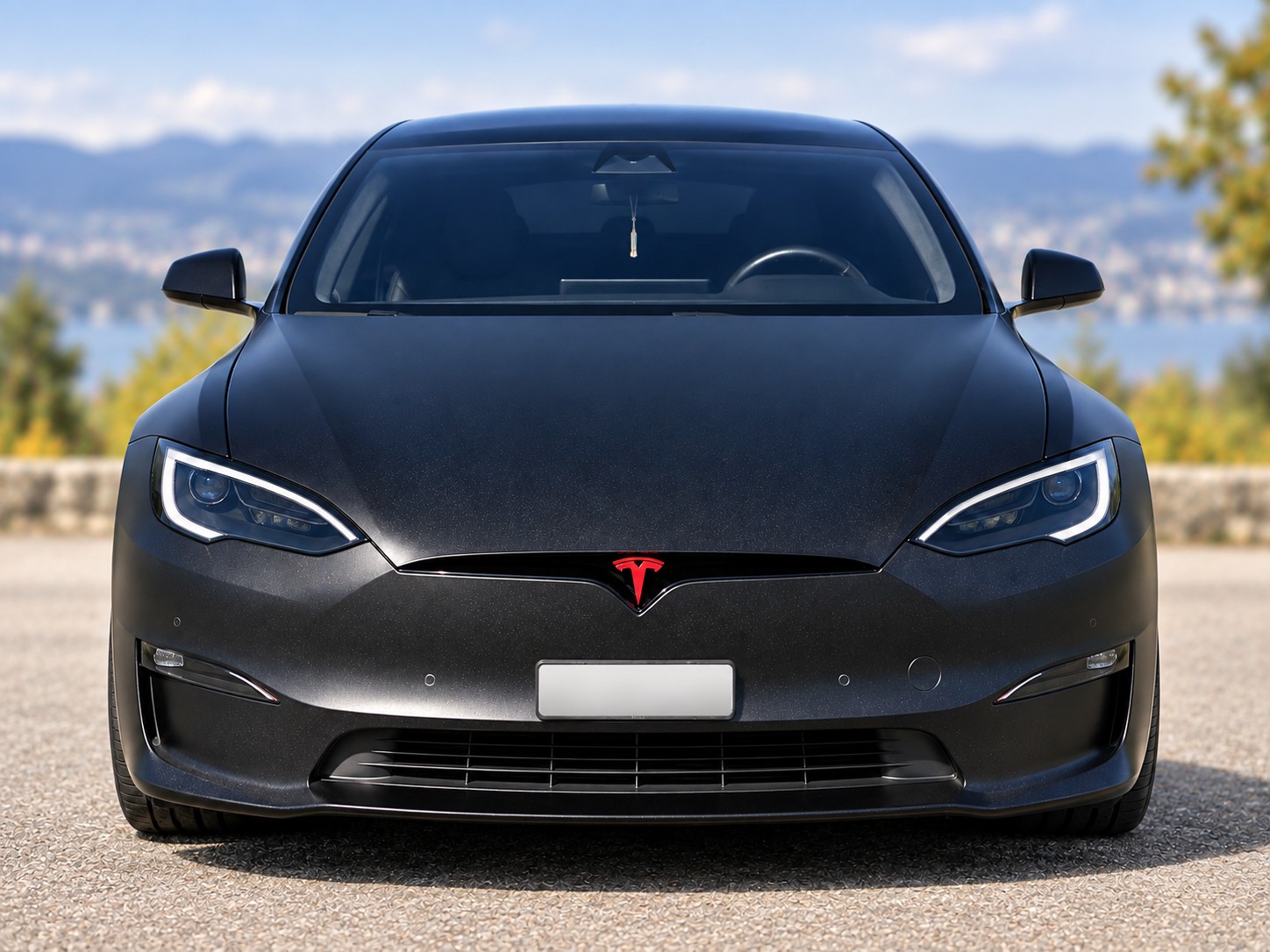 TESLA Model S 100 kWh Plaid 1267 PS-image-1