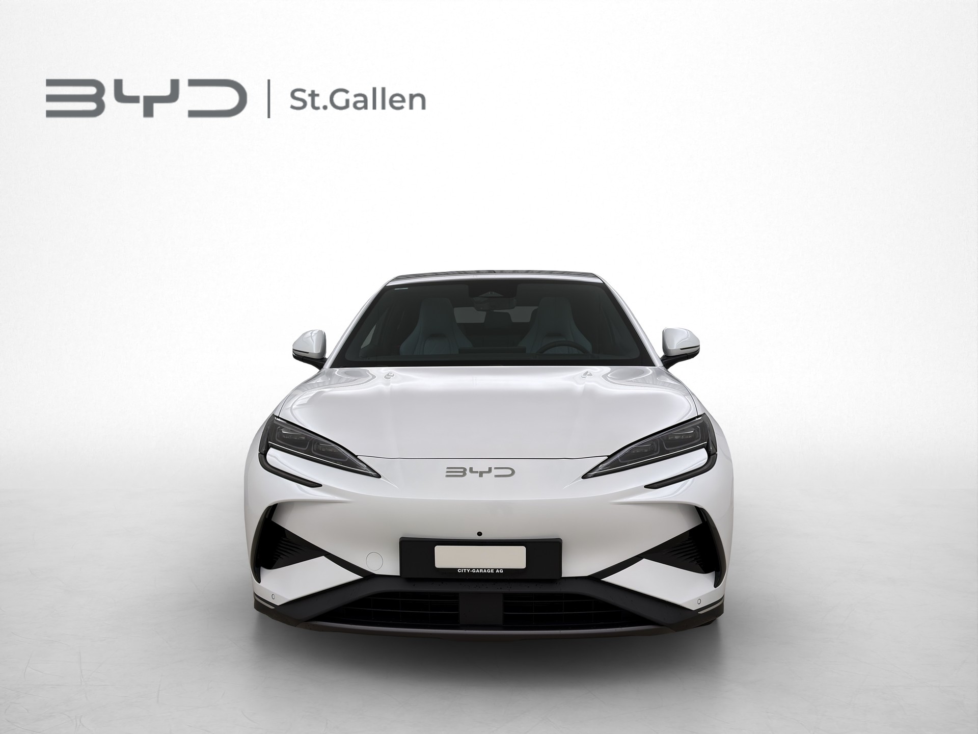 BYD Sealion 7 Excellence AWD-image-1