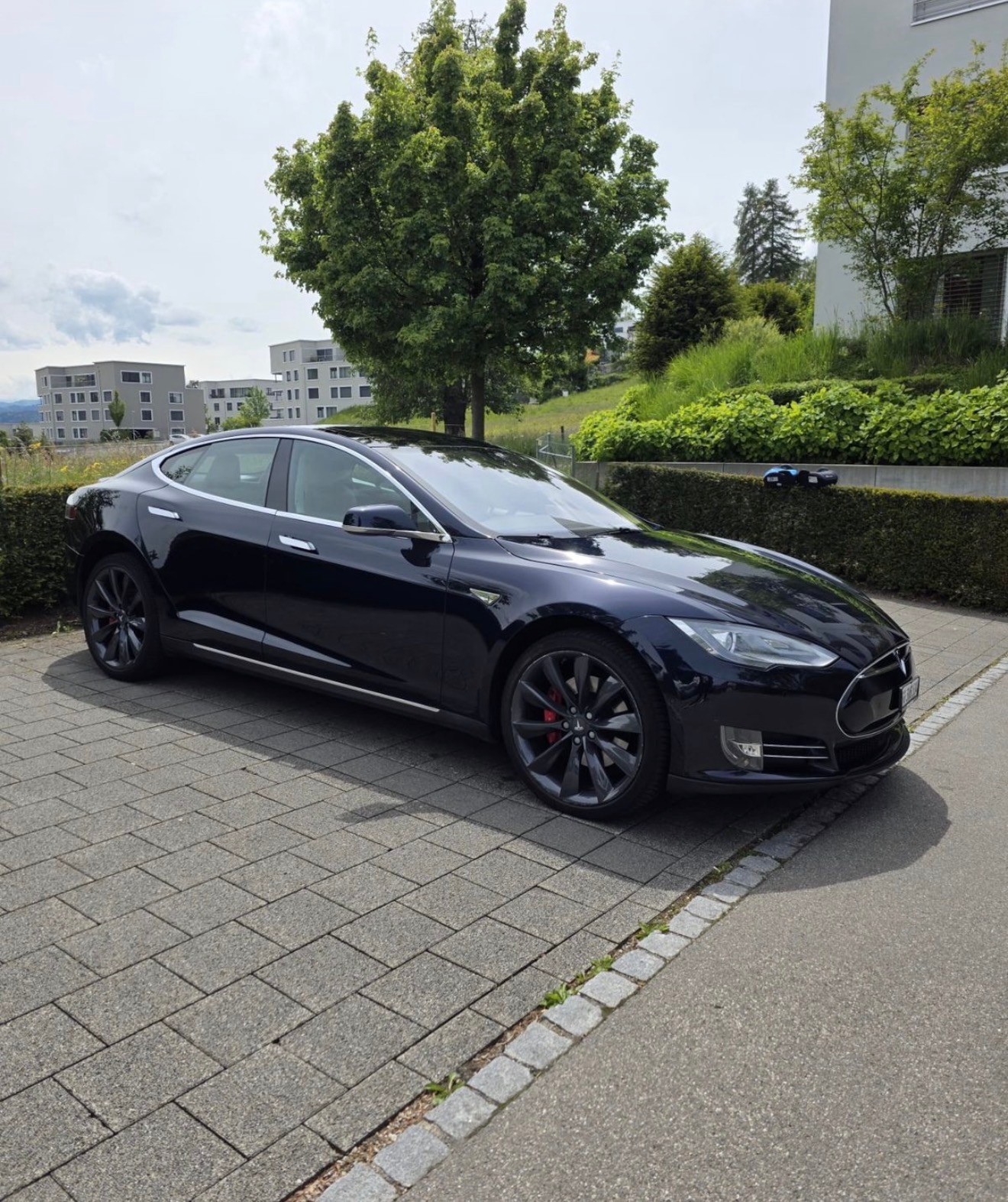 TESLA Model S 85 D Performance Panorama Dach-image-1