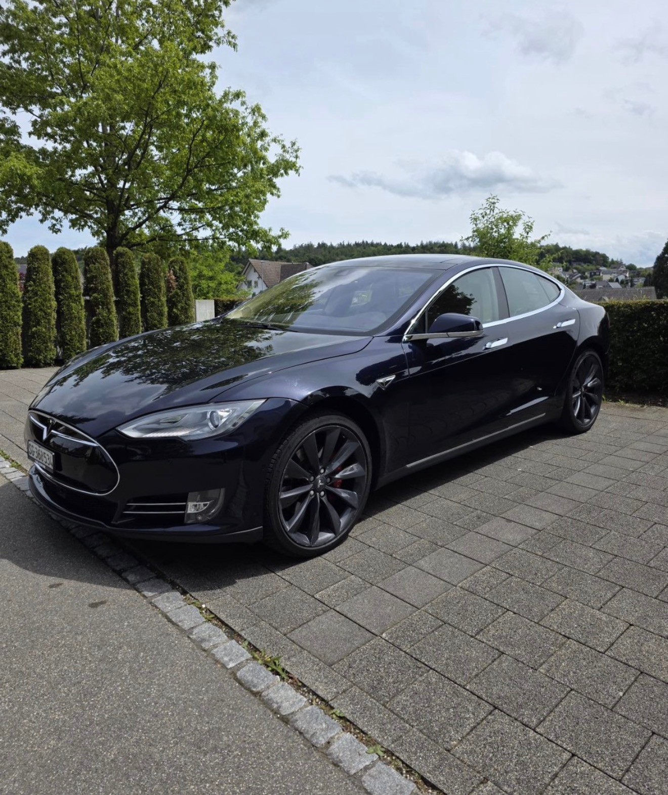 TESLA Model S 85 D Performance Panorama Dach-image-0
