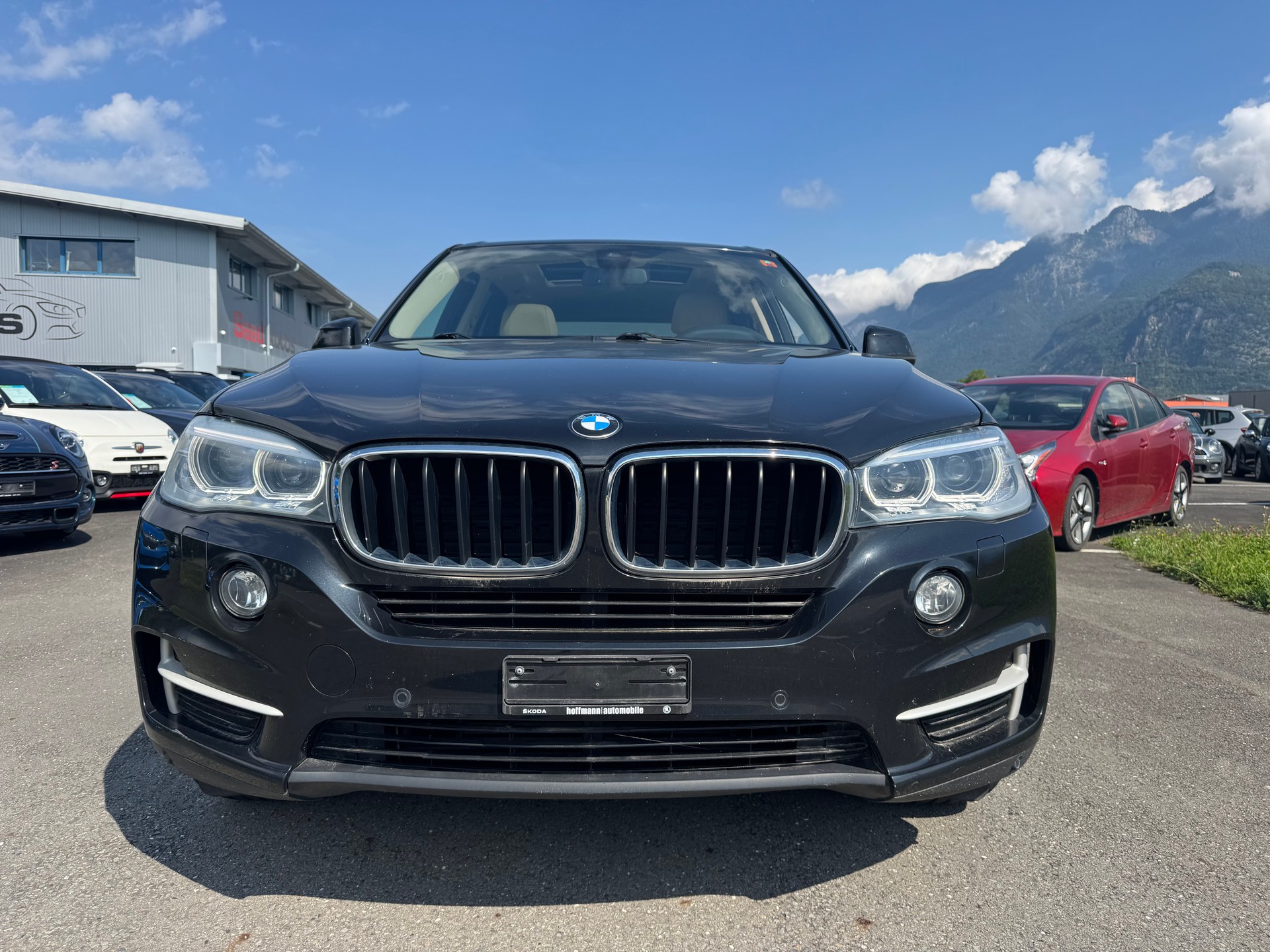 BMW X5 xDrive 30d Steptronic-image-1