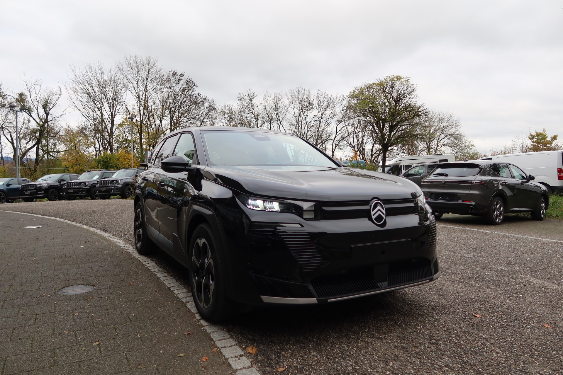CITROEN E-C5 Aircross 73 kWh Plus-image-7