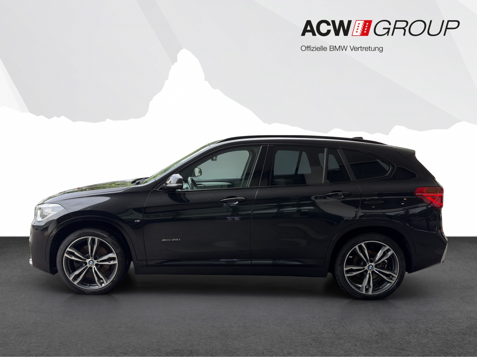 BMW X1 25i xDrive-image-1