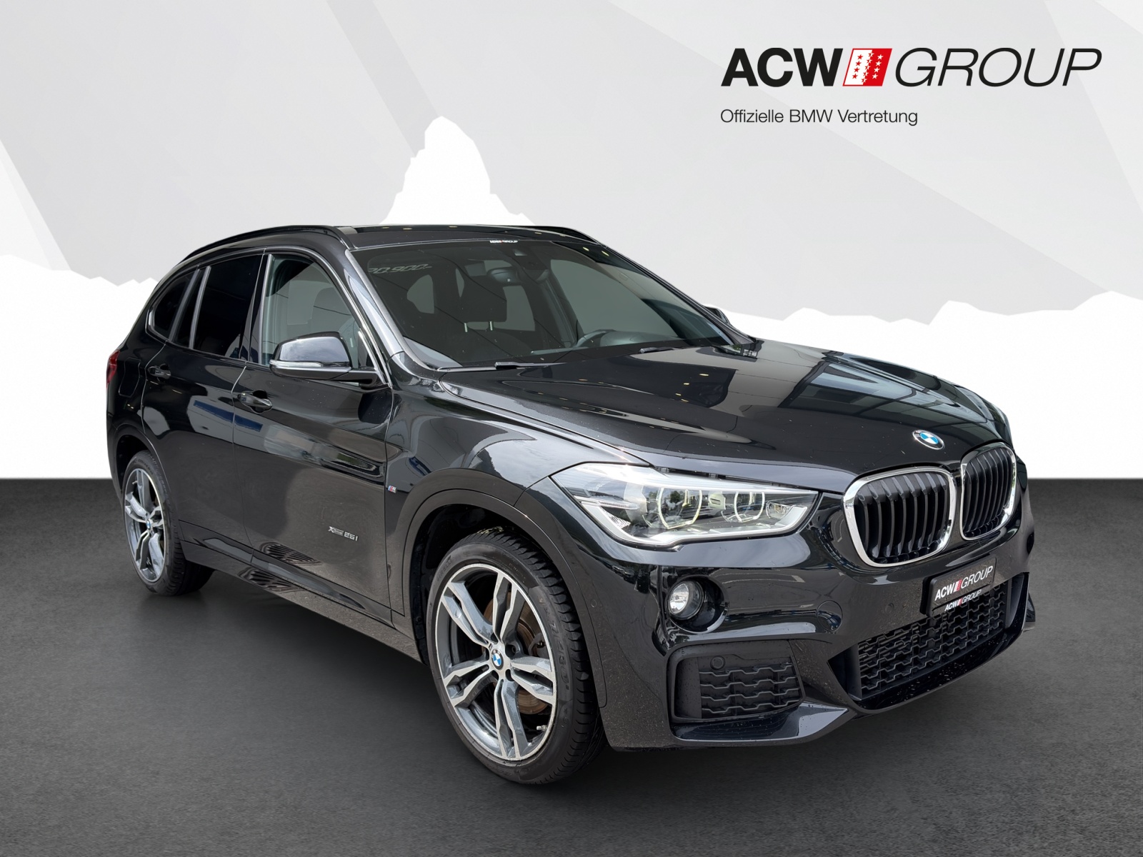 BMW X1 25i xDrive-image-6