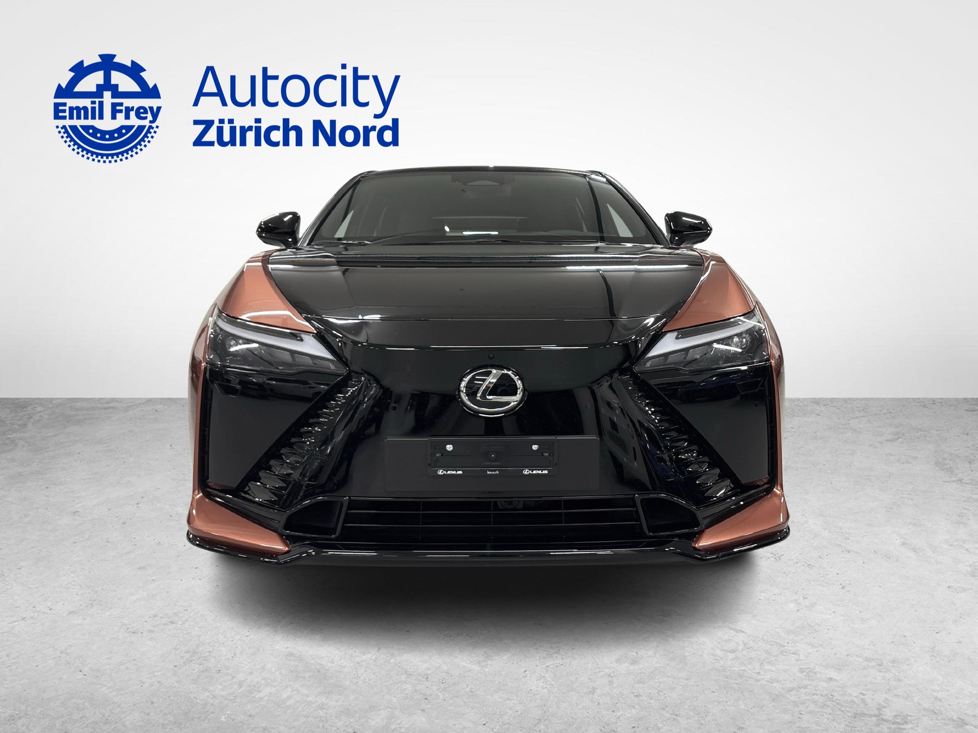 LEXUS RZ 550e F Sport-image-7