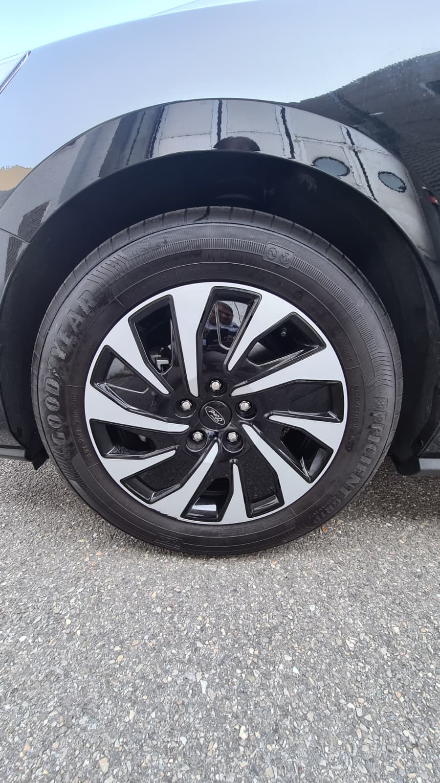 FORD Focus 1.0 MHEV Titanium X Automat-image-20
