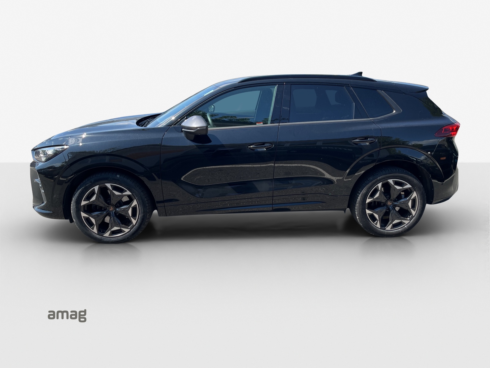 CUPRA Terramar 2.0 TSI DSG 4Drive VZ-image-1